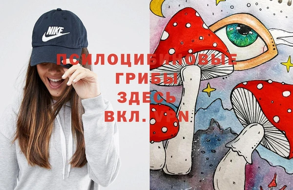 прущая мука Надым