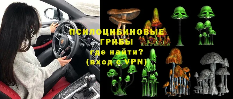 Галлюциногенные грибы Psilocybine cubensis  закладка  Николаевск 