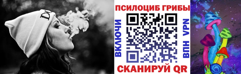 Псилоцибиновые грибы Magic Shrooms  OMG ONION  Николаевск 