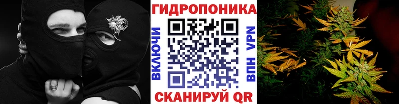 OMG tor  Николаевск  Канабис White Widow 